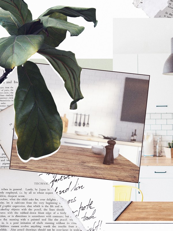 The Midlife With Clover Stroud