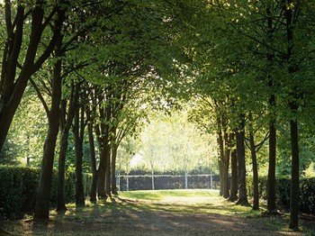 Whipsnade Tree Cathedral