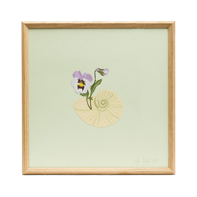 Pansy & Shell Framed Artwork from Isla Simpson