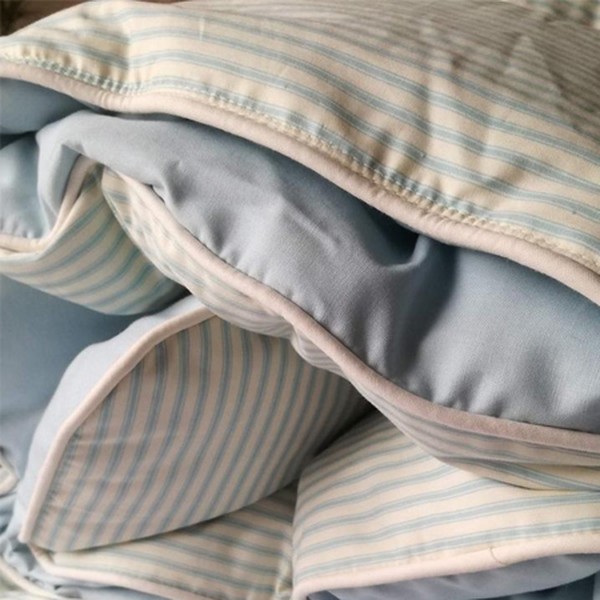 Classic Striped Ticking Eiderdown Quilt Comforter from DVEiderdowns