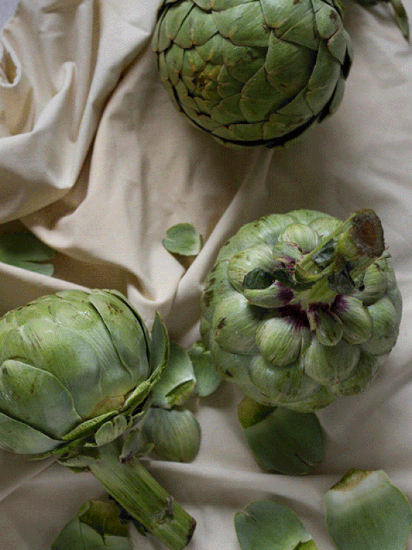  What To Cook Using 5 Seasonal Ingredients