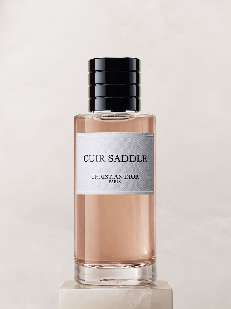 Cuir Saddle from Dior