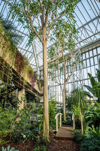 Barbican Conservatory, London