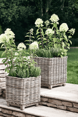 Two Square Rattan Planters from Cox & Cox