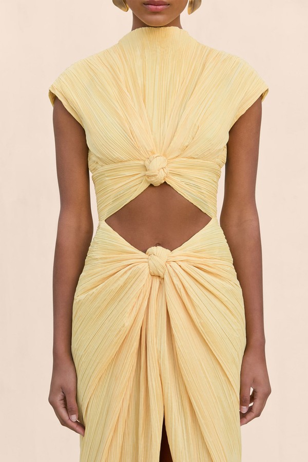 Inaya Dress from Cult Gaia