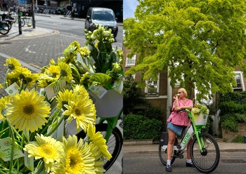 My Lady Garden X Lime Bike