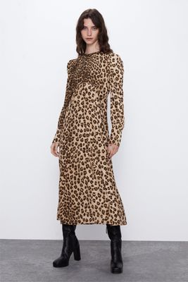 Animal Print Dress from Zara