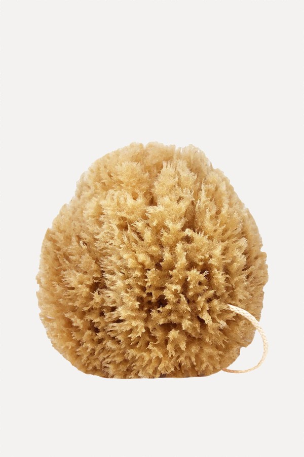 Power Exfoliator Sponge from Givereldi