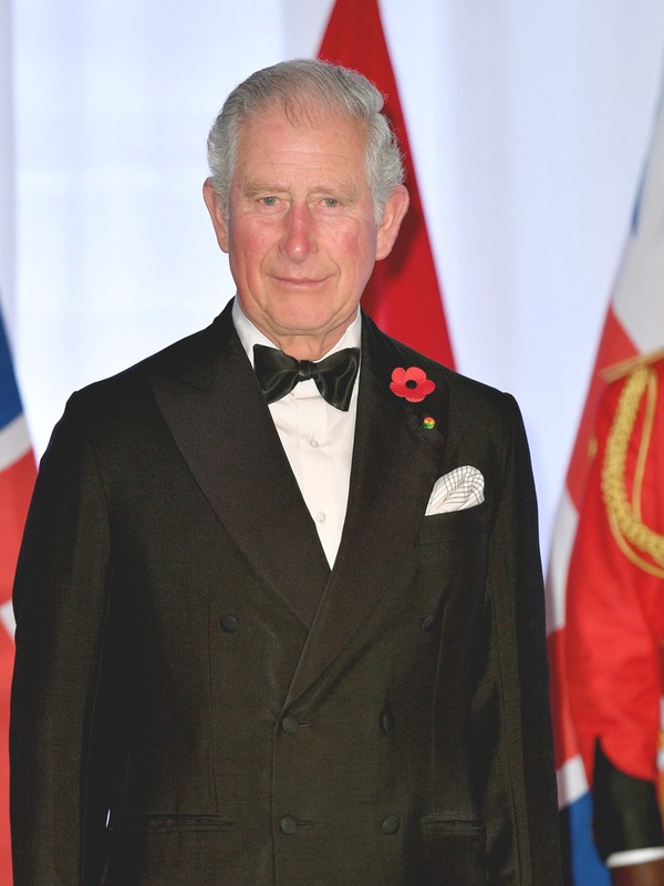 9 Things We Loved From The New Prince Charles Documentary