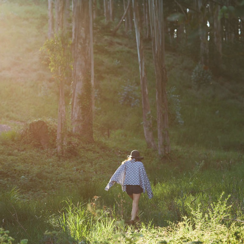 What Is Forest Therapy?