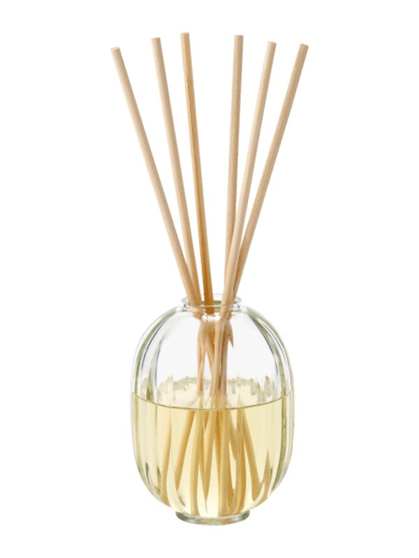 34 Boulevard Germain Home Fragrance Diffuser
