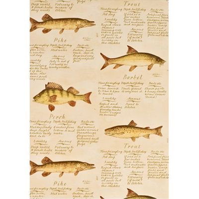 European Freshwater Fish Wallpaper from F&P Interior