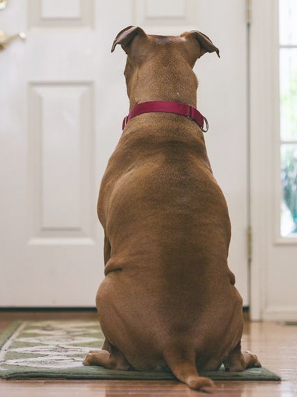This Is How To Protect Your Home From A Burglary 