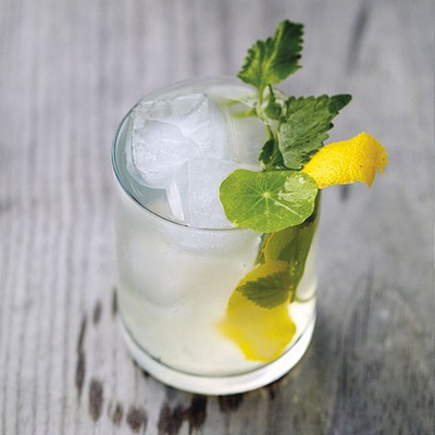 Lemon Balm & Nasturtium Daisy