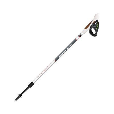 Nordic Walking Poles from Fizan Fitness