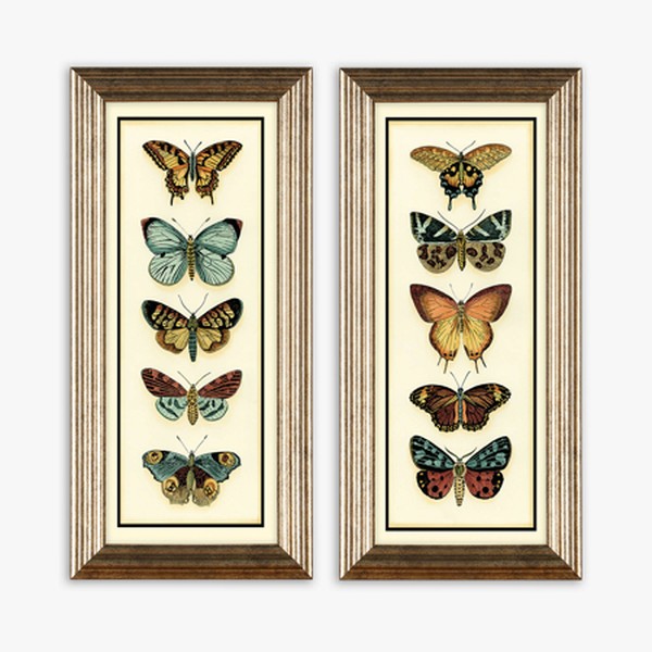 Vintage Butterflies Framed Print Set from John Lewis