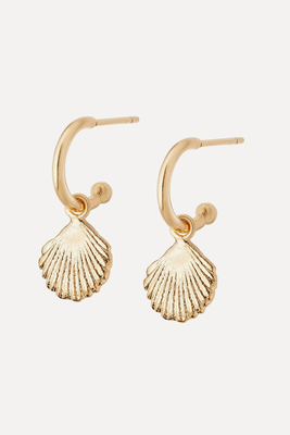 Shell Drop Earrings from Daisy London