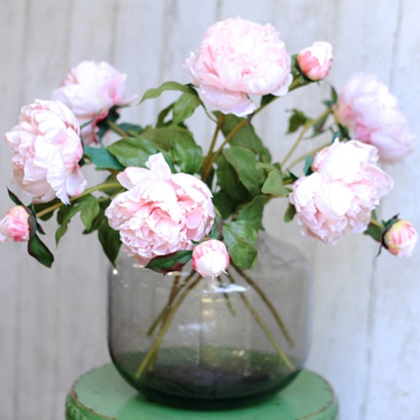 Pale Pink Open Peony from Amaranthine Blooms