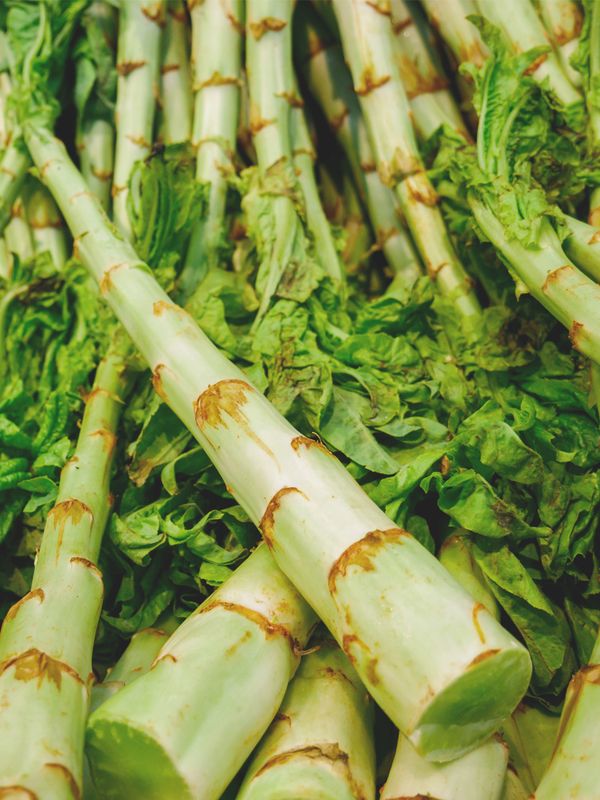 Is Celtuce The New Kale?