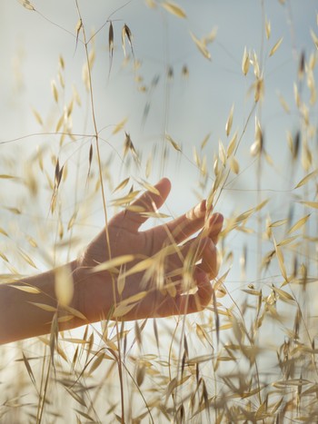 How To Get On Top Of Hayfever Now