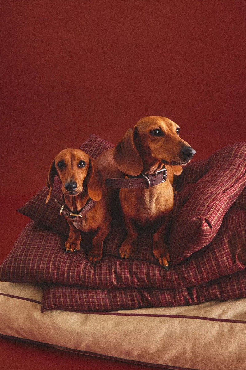 Check Christmas Pet Floor Cushion from Zara Home