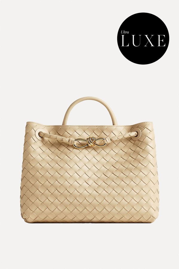 Andiamo Bag from Bottega Veneta
