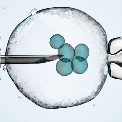 Egg Freezing: What You Need To Know 