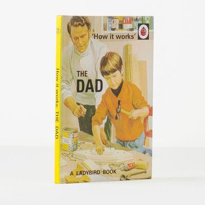 How it works: The Dad By Jason Hazeley and Joel Morris from Amazon