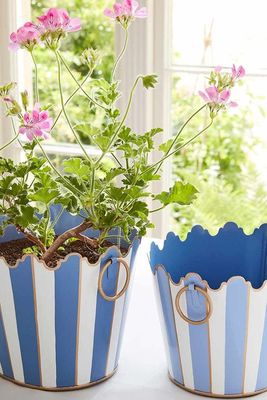 Blue Cirque Striped Planters from Sophie Conran