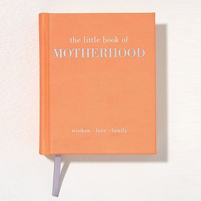 The Little Book of Motherhood from Anthropologie