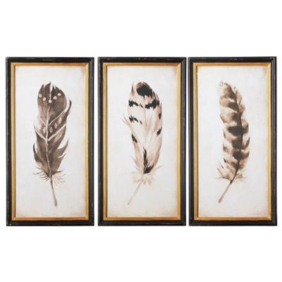 Pluma Framed Prints