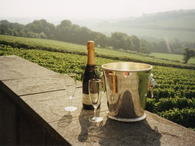 Camel Valley