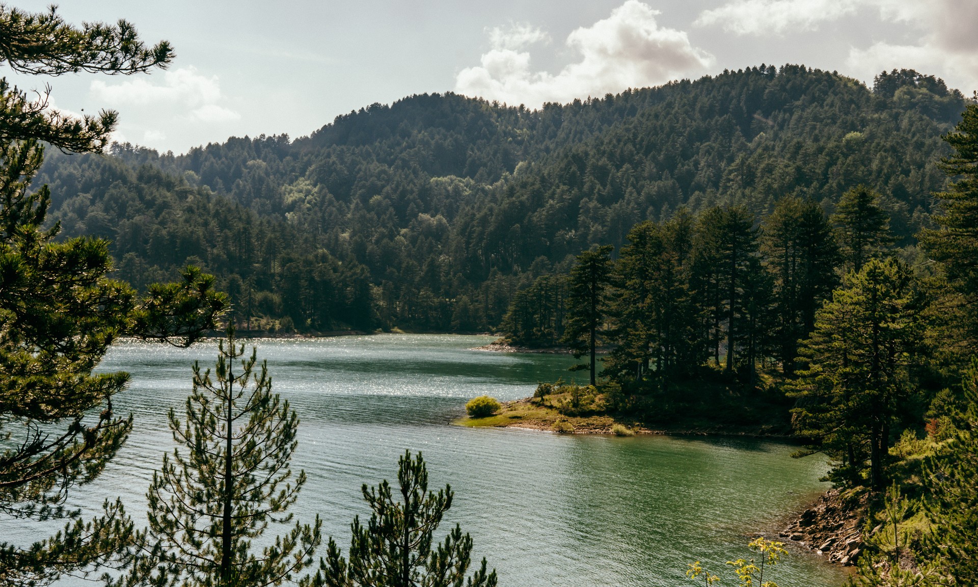 Grand Forest Metsovo