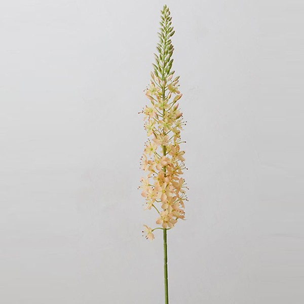 Faux Eremurus Stem from Anthropologie