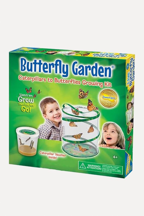 Butterfly Garden from Insect Lore 