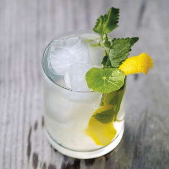 Lemon Balm & Nasturtium Daisy