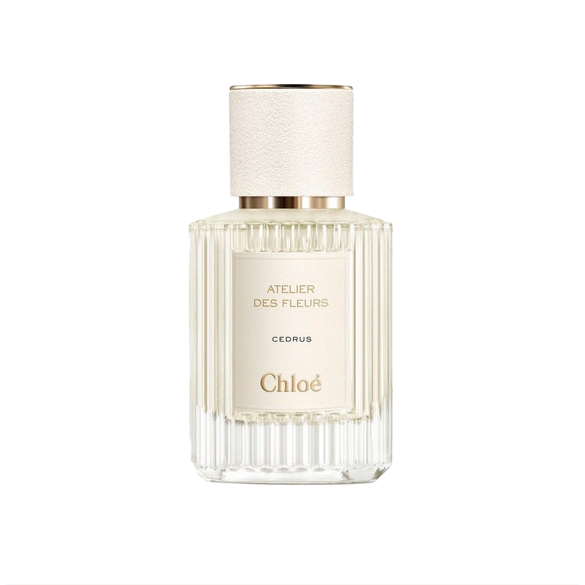 Atelier Des Fleurs Cedrus  from Chloé