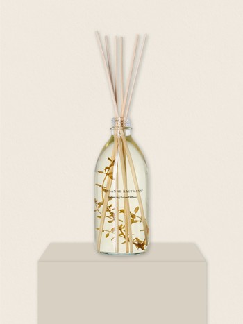 Balancing Room Diffuser from Susanne Kaufmann