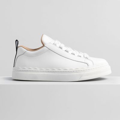 Lauren Sneaker In Smooth Calfskin from Chloe