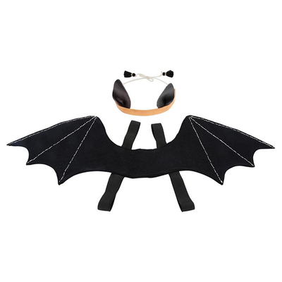 Bat Wings Costume from Party Pieces