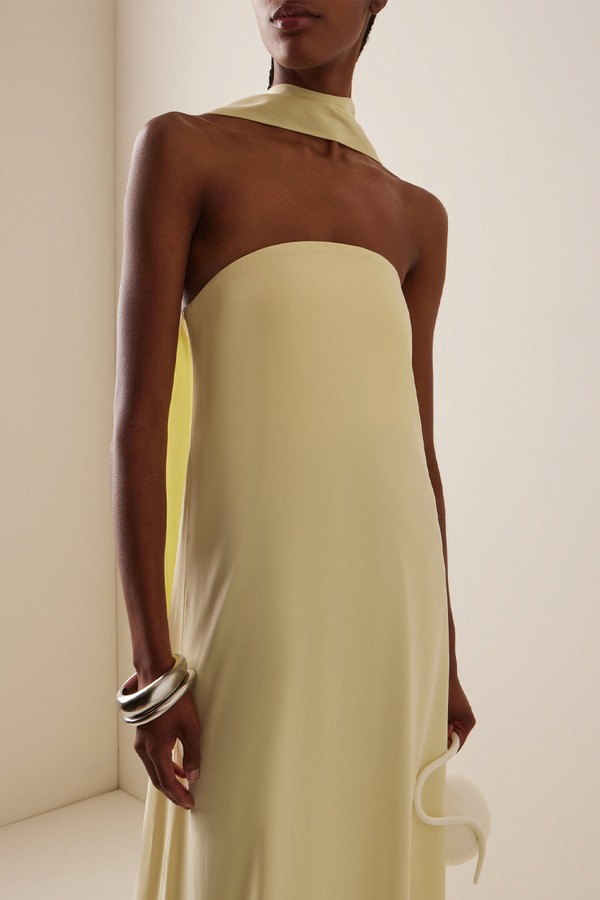 Bia Strapless Maxi Dress from Third Form