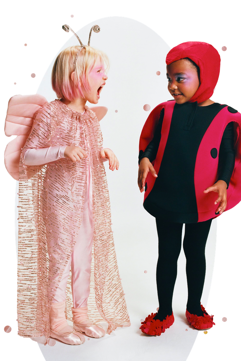 Ladybird Costume