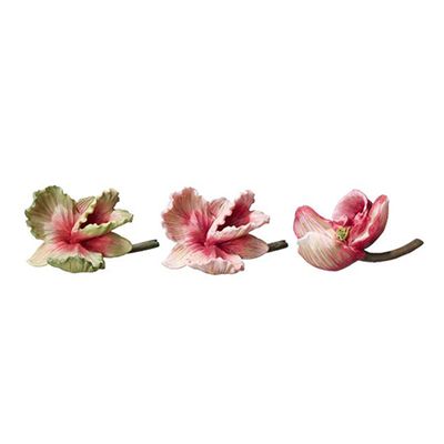 Decorative Orchids from OKA