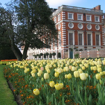 Tulip Festival, Hampton Court Palace