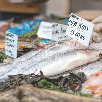 Everything To Know About Buying White Fish