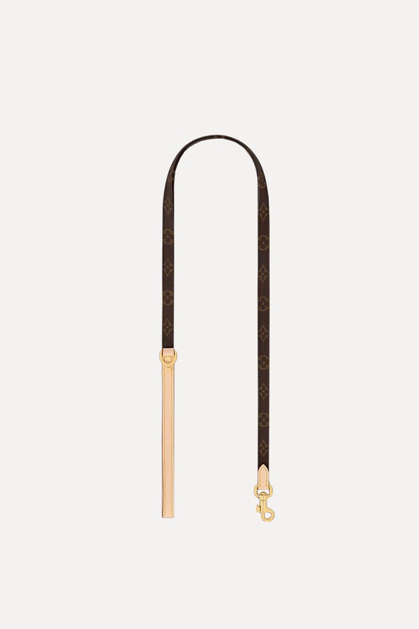 Dog Lead PM from Louis Vuitton