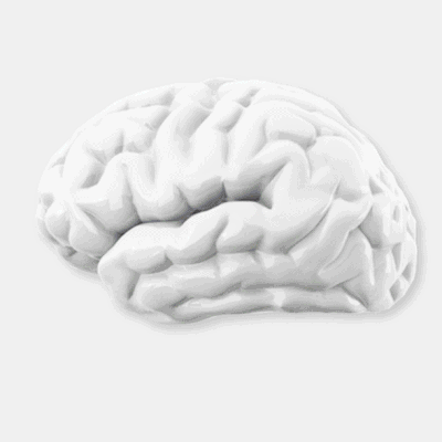 10 Ways To Future-Proof Your Brain
