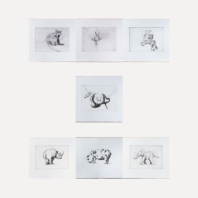 Set Of 7 Animal Etchings from Holwell Collection