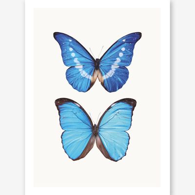 Butterflies Art Print from Marielle Landers