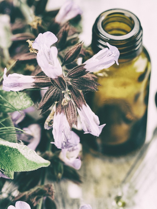8 Of Our Favourite Organic Beauty Brands